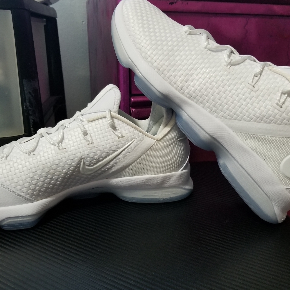 LeBron James 14's